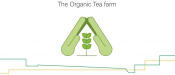The Organic Tea Farm